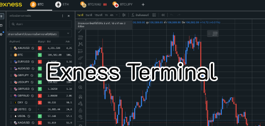 What is Exness Terminal? Complete Guide to Using Exness Web Trading ...