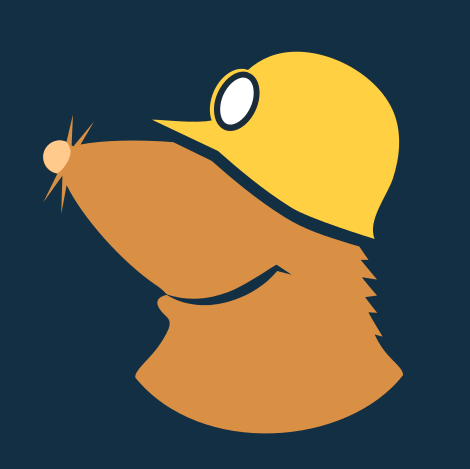 Mullvad VPN